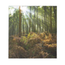 Search for light rays cards invites Forest