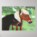 Search for miniature horse Foal