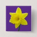 Search for daffodil badges Welsh