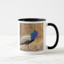 Search for peacock photo mugs Photography