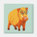 Search for swine magnets Funny