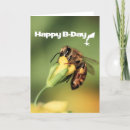 Search for honey bee birthday cards Cute