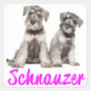 Search for miniature schnauzer stickers Dog