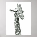 Search for drawing kids posters Africa