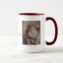 Search for maine coon mugs Tabby