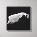 Search for asteroid canvas prints Minor planets