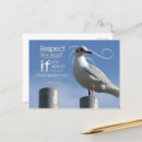 Search for bird sayings postcards Quote