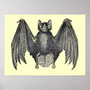 Search for bats posters Black and white