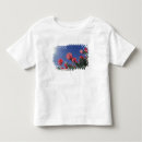 Search for looking up tshirts Usa