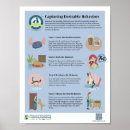 Search for dog training posters Trainer