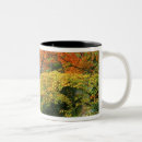 Search for kyoto japan mugs Season