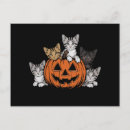 Search for retro cats postcards Halloween