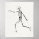 Search for human skeleton posters Medical