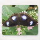 Search for blue butterfly mousepads Pretty