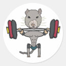 Search for rat stickers Gym