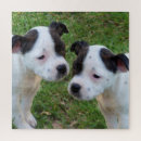 Search for staffordshire puzzles Terrier