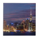 Search for new zealand tiles Light
