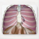 Search for rendering mousepads Body