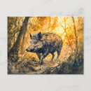 Search for boar postcards Animals