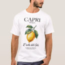 Search for amalfi coast tshirts Landscape