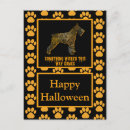 Search for silhouette postcards Animals