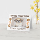 Search for shih tzu birthday cards Cute