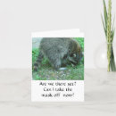 Search for raccoon birthday cards Photography