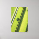 Search for lawn canvas prints Grass