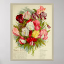 Search for vintage seed catalogues posters Floral