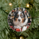 Search for australian christmas tree decorations Pet