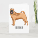 Search for peis cards Chinese