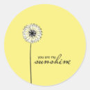 Search for lyrical stickers Song