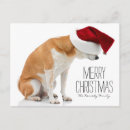Search for shiba inu christmas cards No people