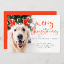 Search for pet christmas cards Humour