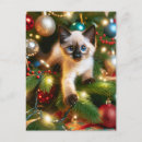 Search for christmas kitten postcards Kitty