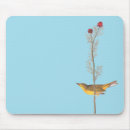 Search for audubon Birds of america
