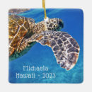 Search for sea turtle christmas tree decorations Vacation