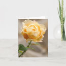 Search for yellow rose note cards Floral