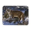 Search for puma magnets Mary ann mcdonald
