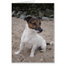 Search for hunde Tier