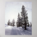 Search for backcountry posters Ie