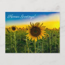 Search for greeting postcards Flowers