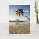 Search for beach hut cards Palm tree
