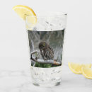 Search for owl with glasses Wildlife