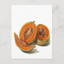 Search for fruit slices postcards Seeds