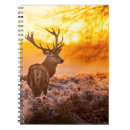Search for wildlife notebooks Animal