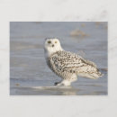 Search for low temperature postcards Standing