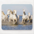 Search for ellen mousepads Farm