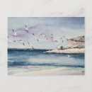 Search for seagull painting postcards Ocean