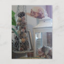 Search for vignette postcards Vintage